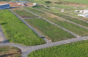 Nova Carpina